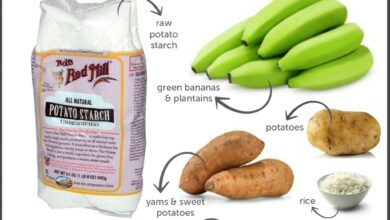 The important role resistant starch plays in weight loss