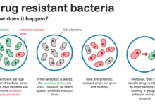 Why you should be concerned about antibiotics in chicken