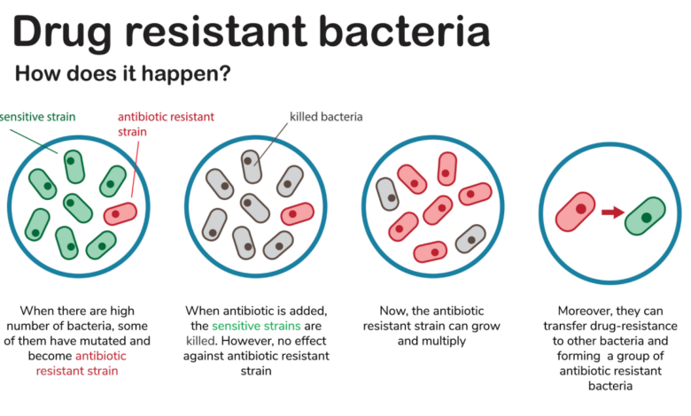 Why you should be concerned about antibiotics in chicken