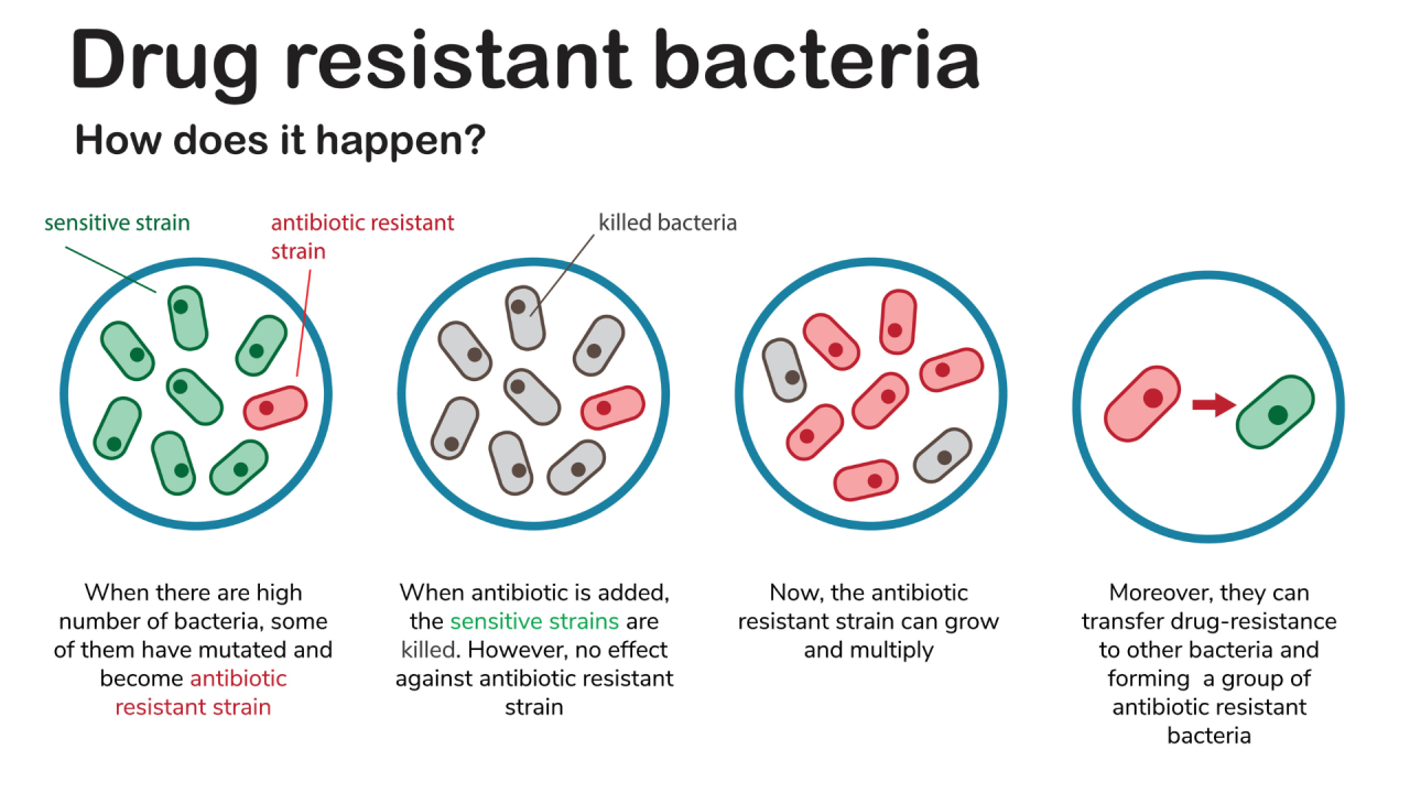 Why you should be concerned about antibiotics in chicken