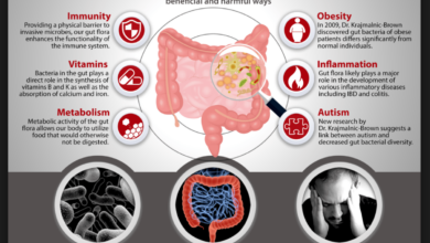 Gut microbiome and weight loss