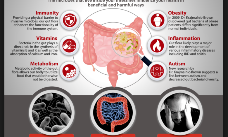 Gut microbiome and weight loss