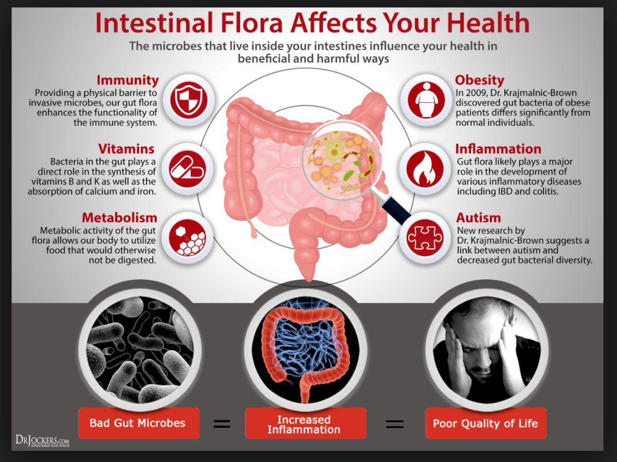 Gut microbiome and weight loss