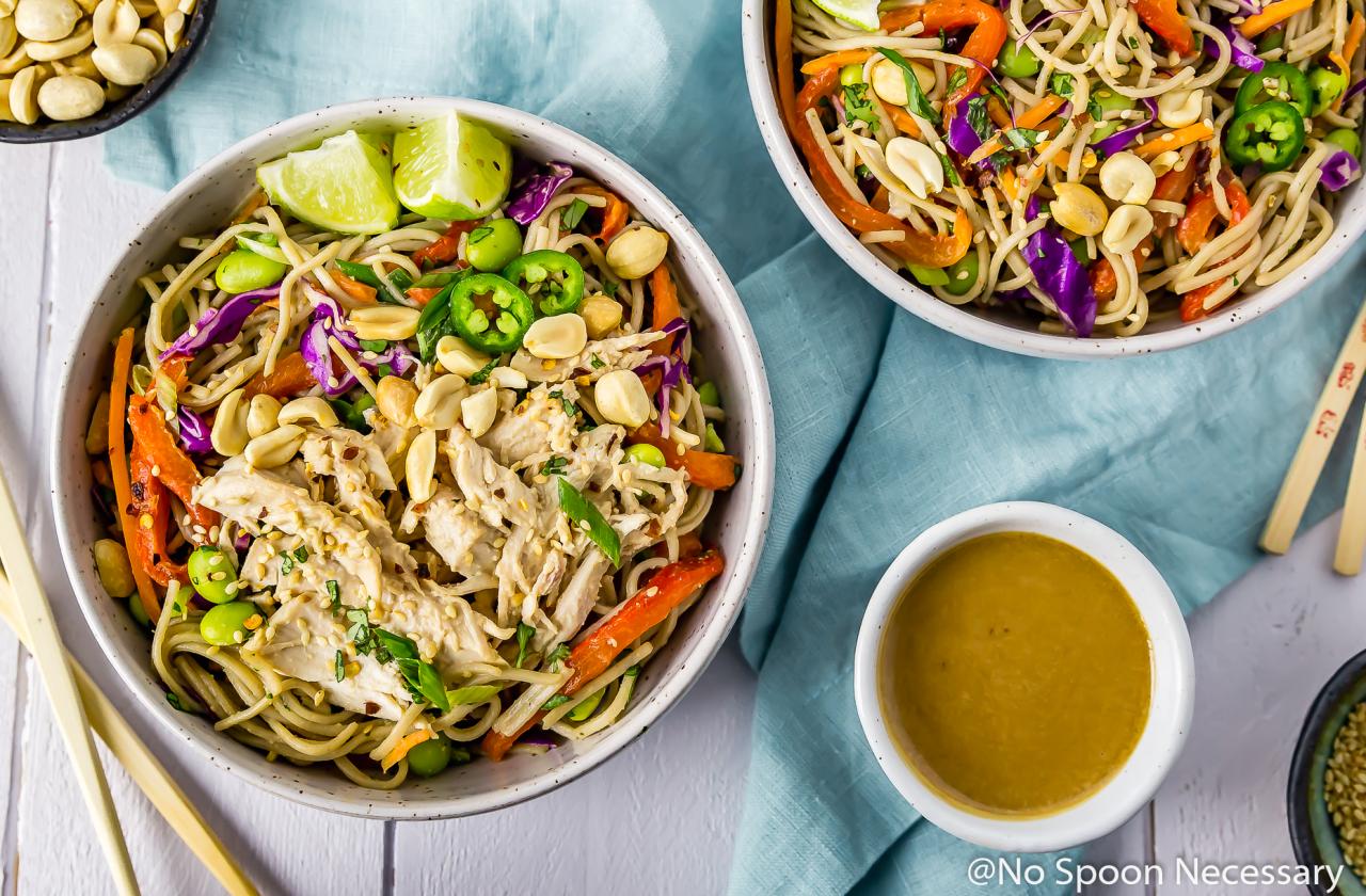 Cold chicken soba noodle bowls with ginger carrot dressing