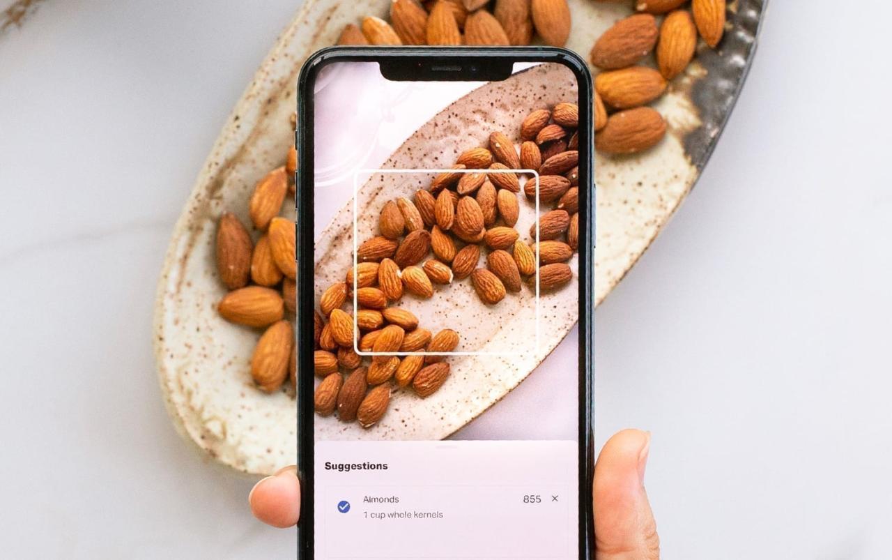 Myfitnesspals new meal scan feature makes logging a snap