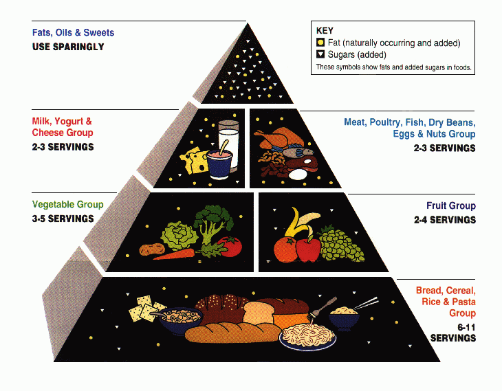 What the health whatever happened to the food pyramid