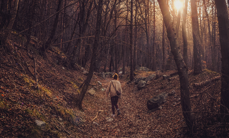 Benefits walking meditation