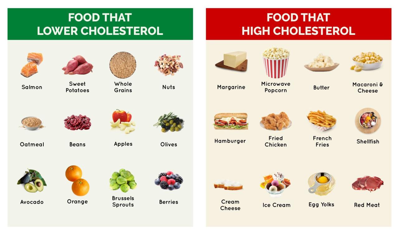 Science finds link between low carb diets and lower cholesterol