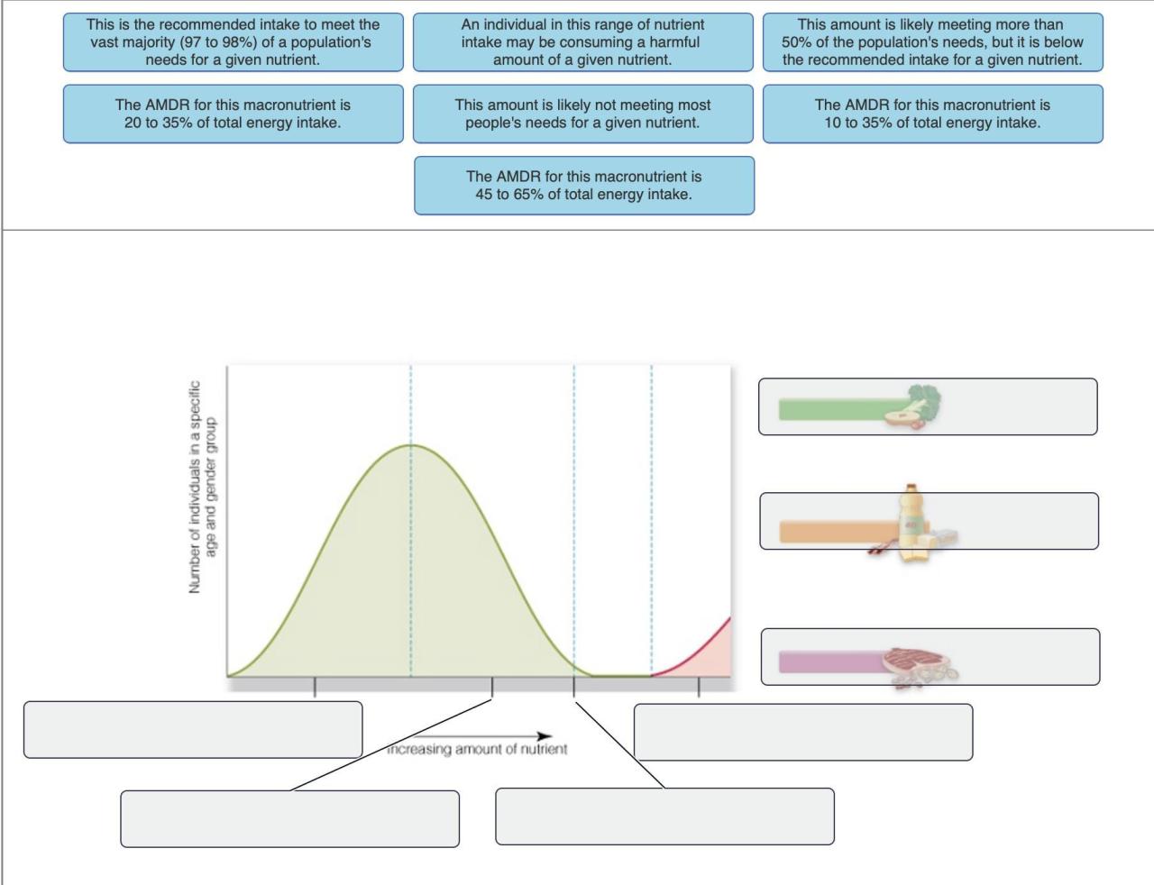 Macronutrients vs micronutrients how are they different