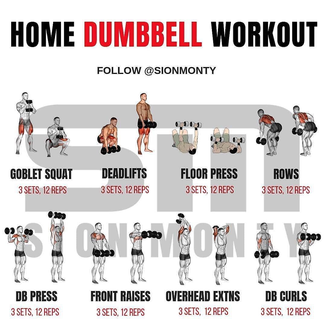 1 week 1 dumbbell total body workout