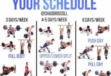 20 day full body fitness program