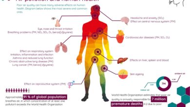 Exercising in polluted areas could be bad for your health