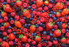 Everything you need to know about berries