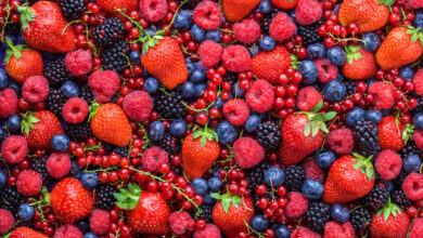 Everything you need to know about berries