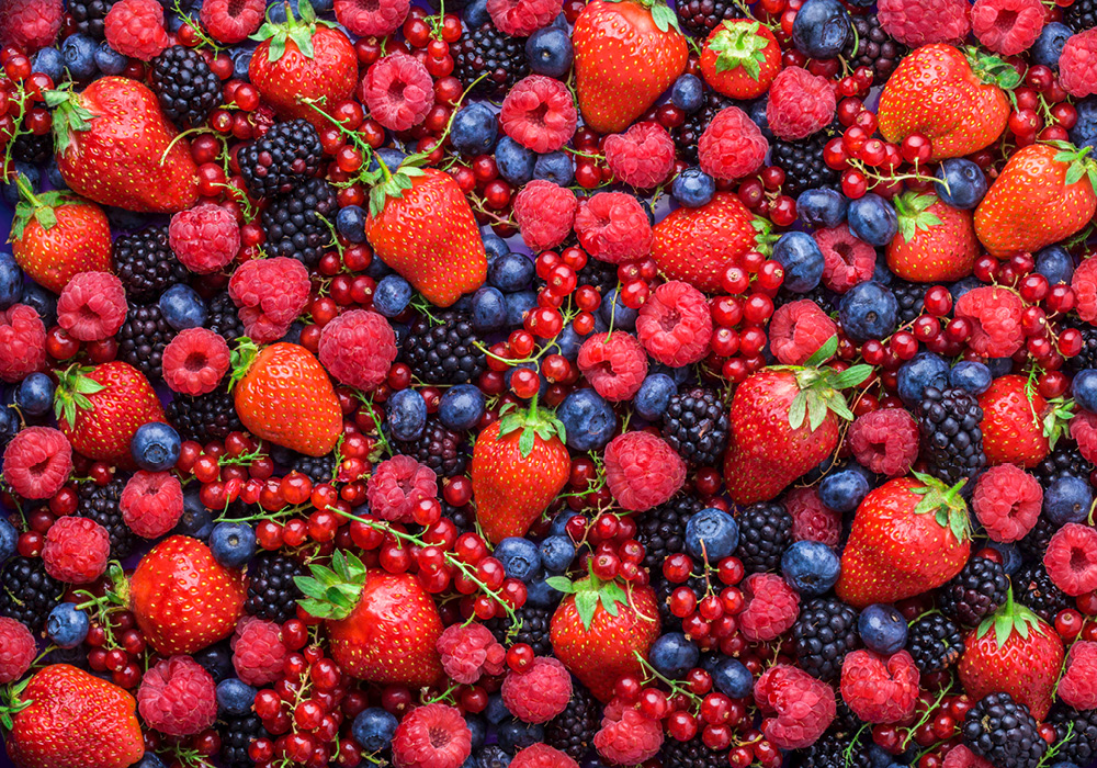 Everything you need to know about berries