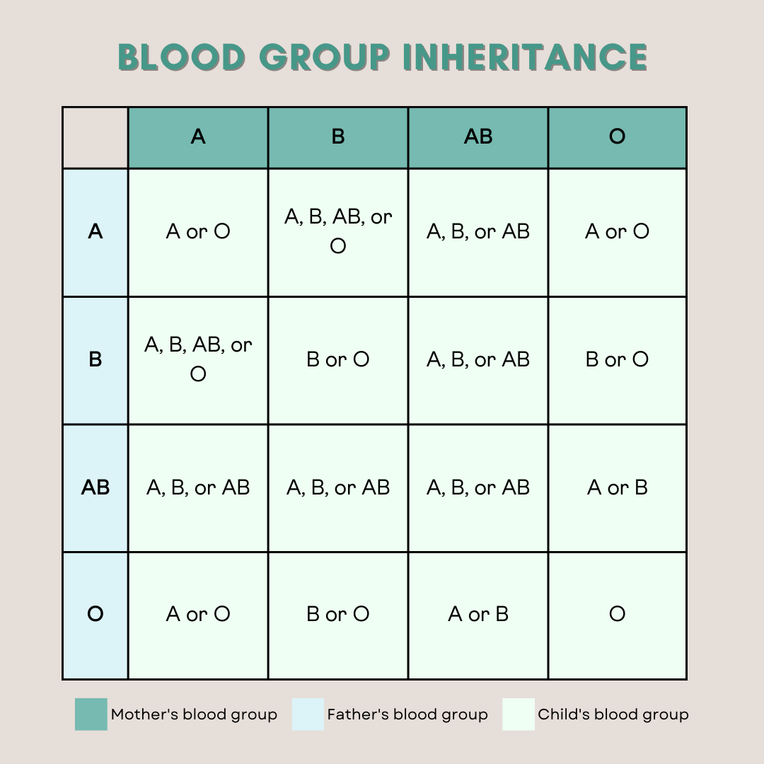 What is the blood type diet and does it work for weight loss