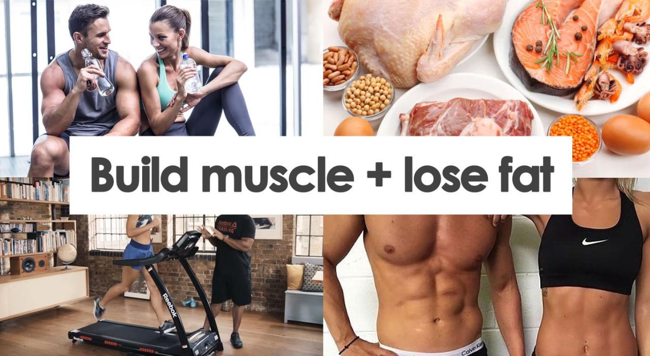 Muscle fat lose build workout ultimate plan gain time used results