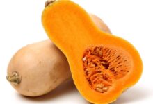 This or that is pumpkin healthier than butternut squash