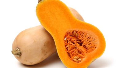 This or that is pumpkin healthier than butternut squash