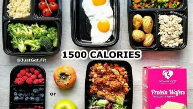 500 calorie lunches look like