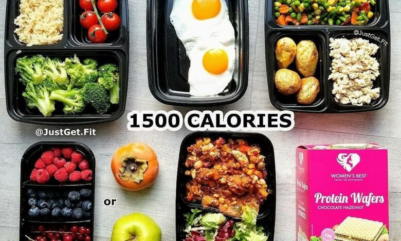 500 calorie lunches look like