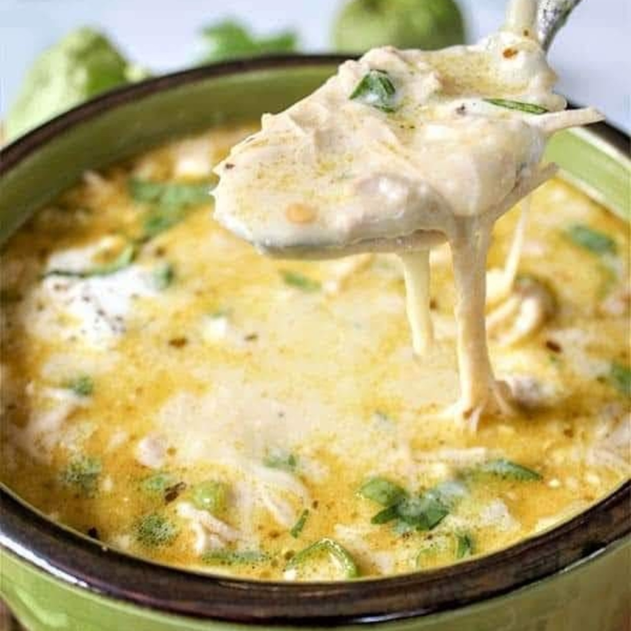 Slow cooker chicken enchilada soup