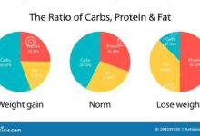 What dinners with up to 25 grams of net carbs look like