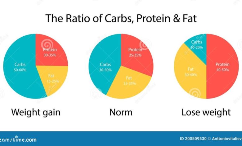 What dinners with up to 25 grams of net carbs look like