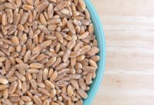 Your guide to cooking and eating farro