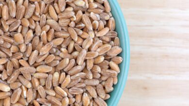 Your guide to cooking and eating farro