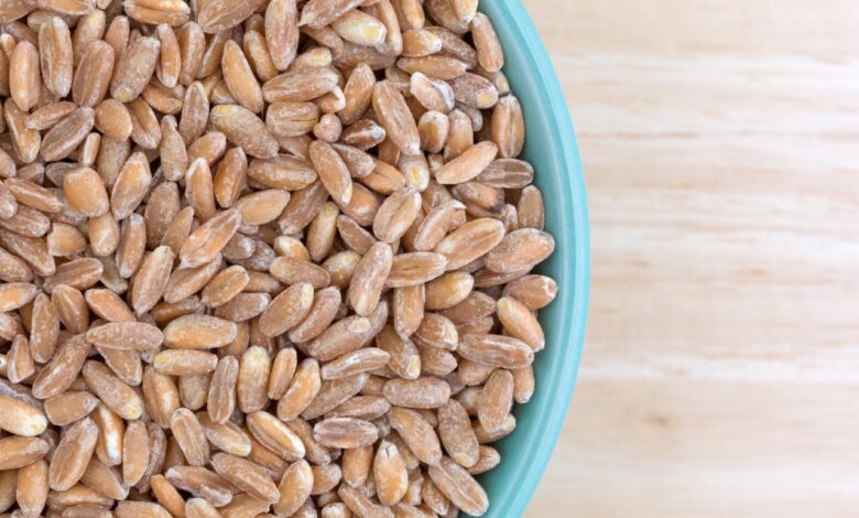 Your guide to cooking and eating farro