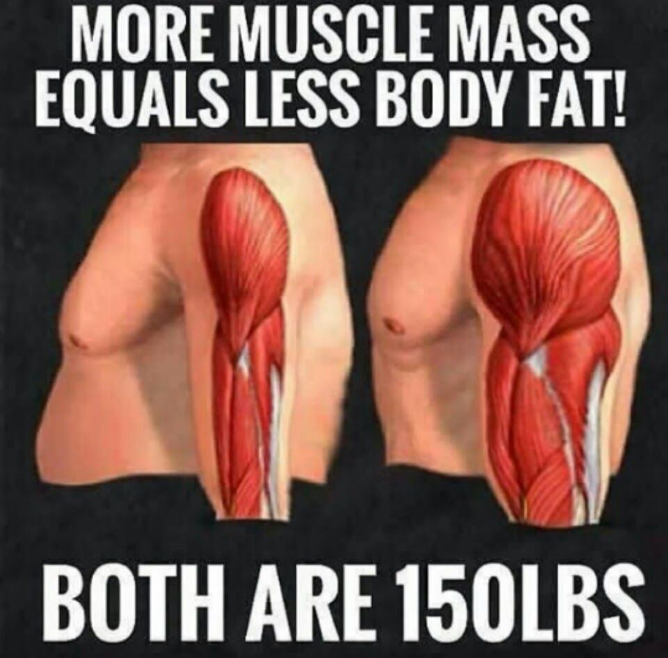 Why a pound of muscle is better than a pound of fat