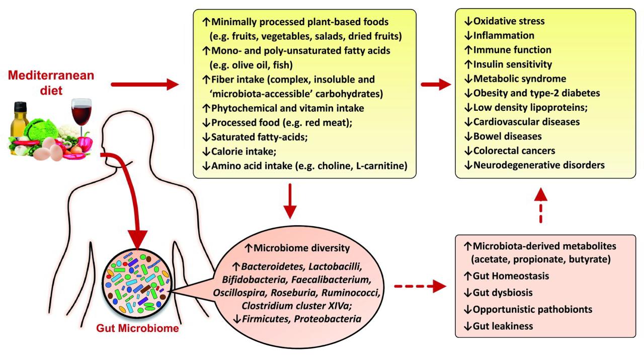 Food philosophies the 12 most common eating strategies explained