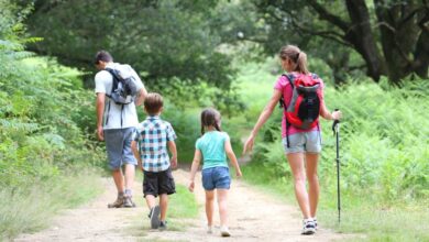 8 amazing family friendly hikes