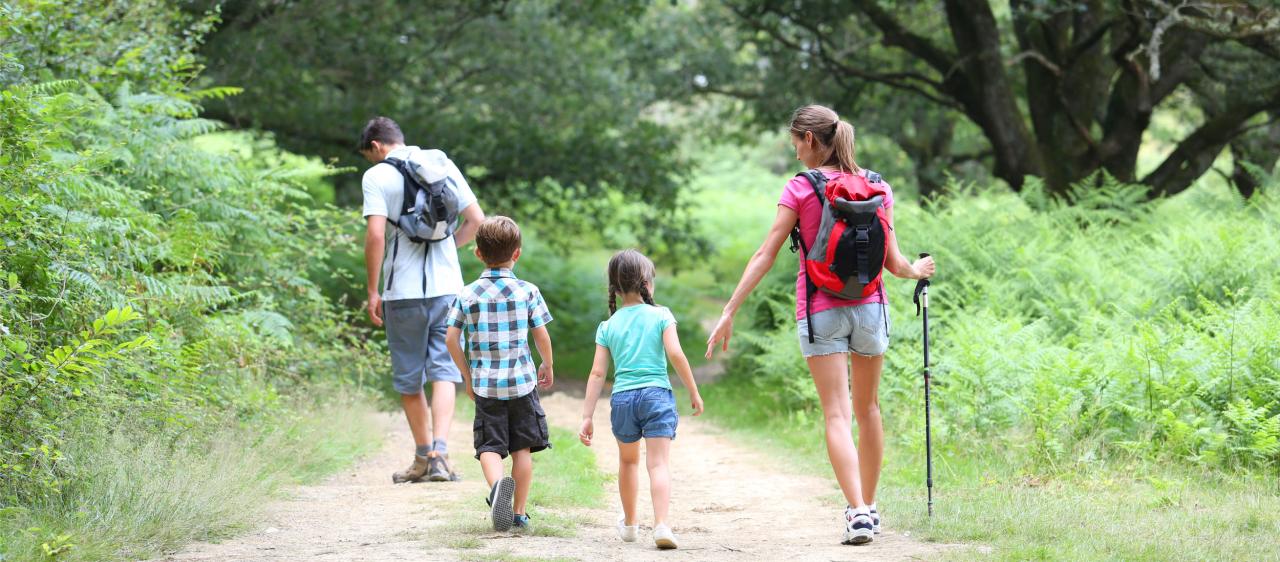 8 amazing family friendly hikes