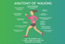 4 week beginner walking plan for weight loss