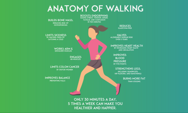 4 week beginner walking plan for weight loss