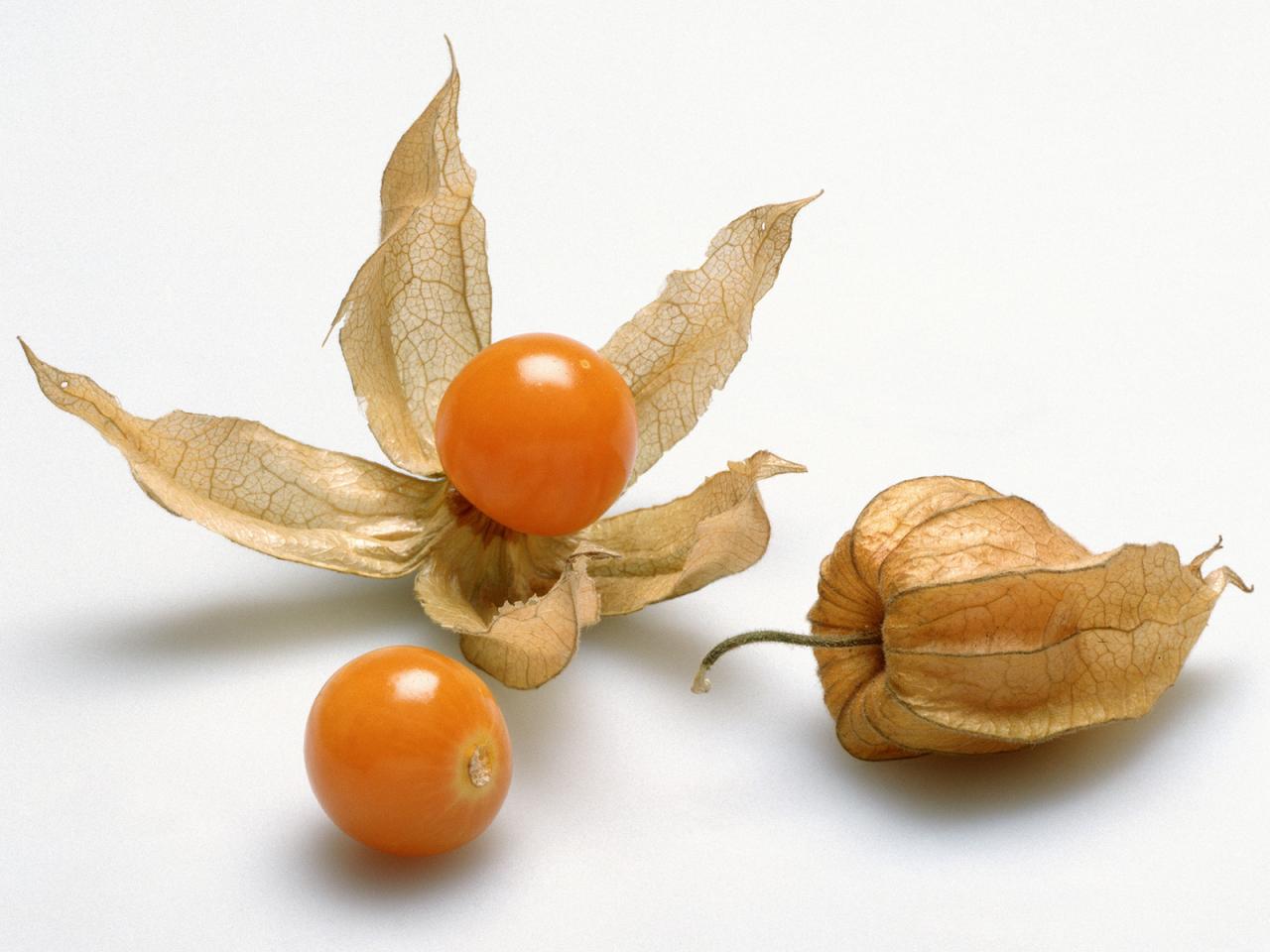 Ground cherries are trending and heres why to try them