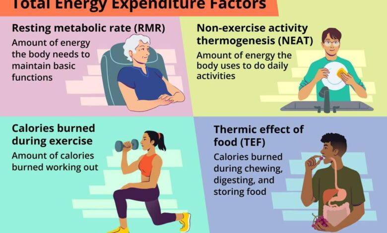 Could eating a big breakfast increase calorie burn