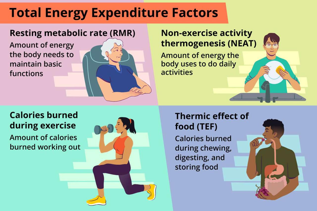 Could eating a big breakfast increase calorie burn