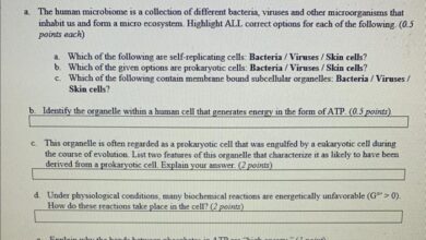 Gut check whats up with this microbiome talk