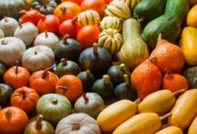 Why you should definitely eat more squash