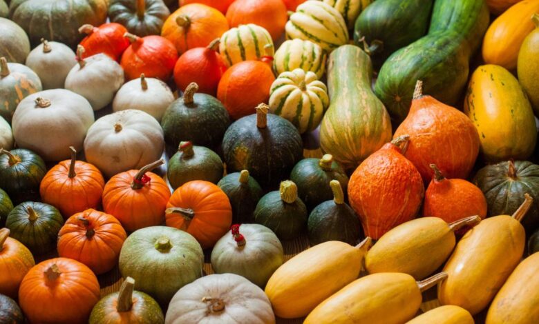 Why you should definitely eat more squash