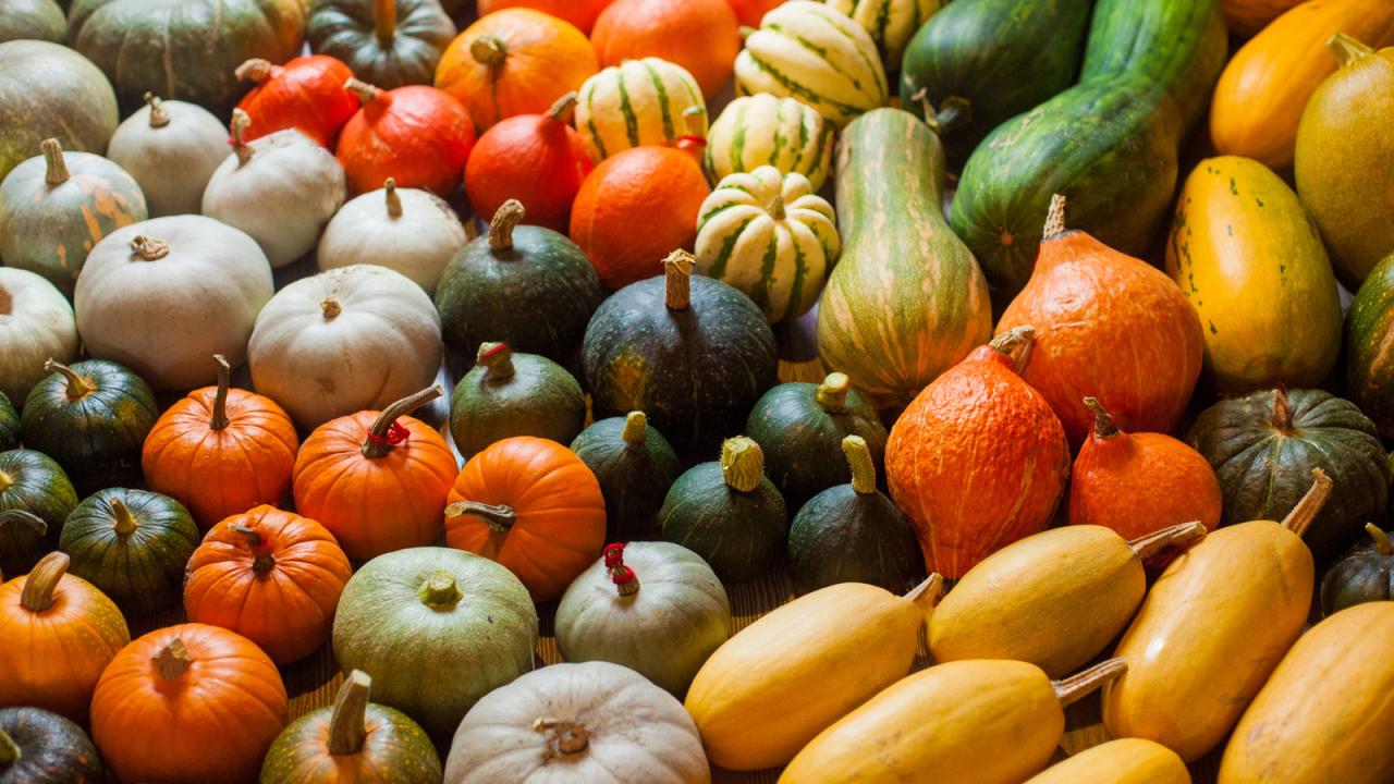 Why you should definitely eat more squash