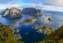 Myfitnesspal protein