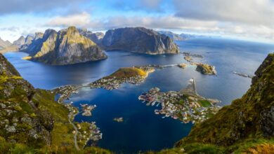 Myfitnesspal protein