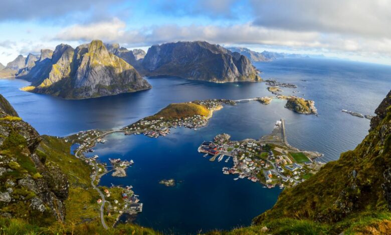 Myfitnesspal protein