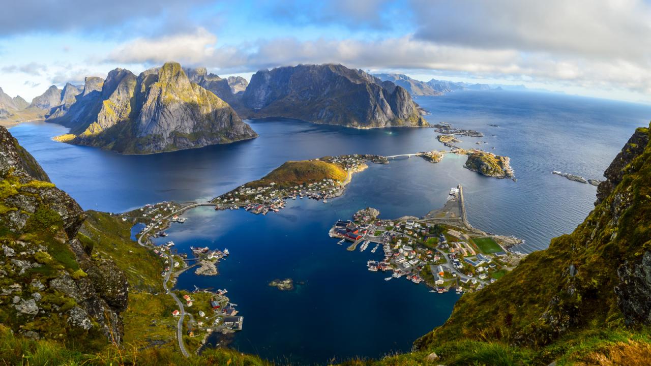 Myfitnesspal protein