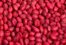 Red lentil tagine with pistachios