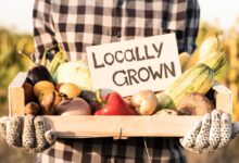 Organic produce versus local whats healthier